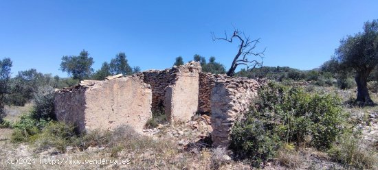 Solar en venta en Tivissa (Tarragona)