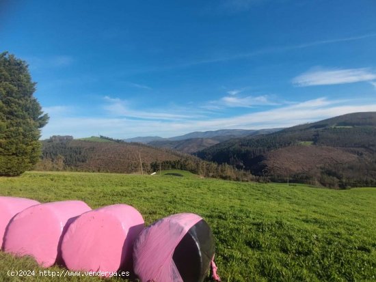 Parcela en venta en Tapia de Casariego (Asturias)