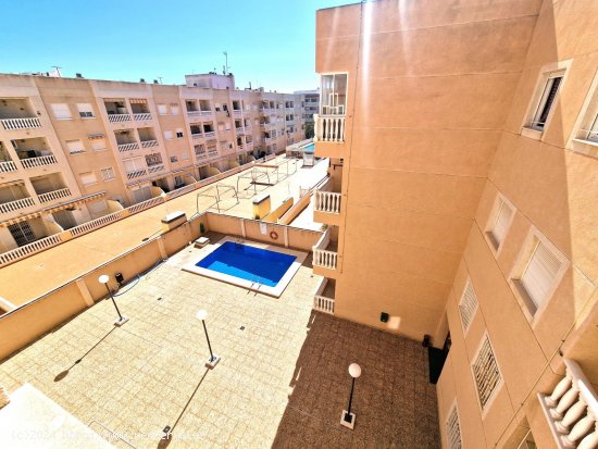 Apartamento en venta en Torrevieja (Alicante)