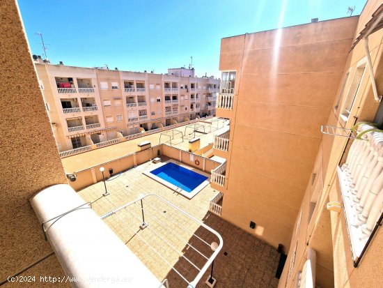 Apartamento en venta en Torrevieja (Alicante)