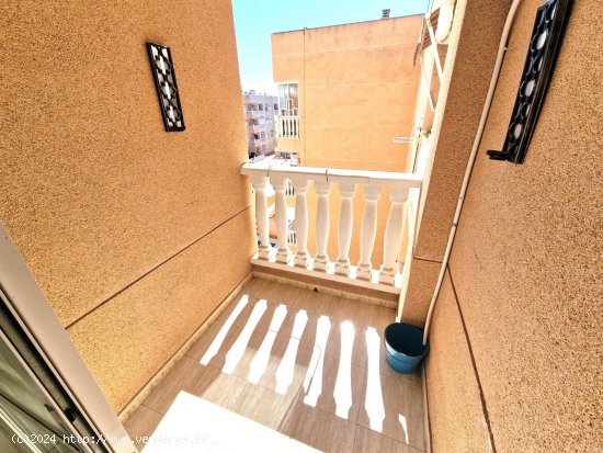 Apartamento en venta en Torrevieja (Alicante)