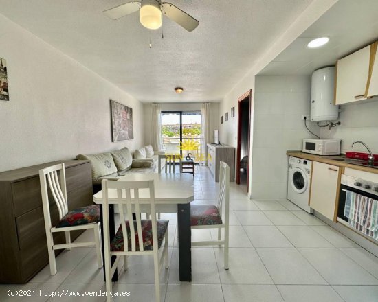 Apartamento en alquiler en Torrevieja (Alicante)