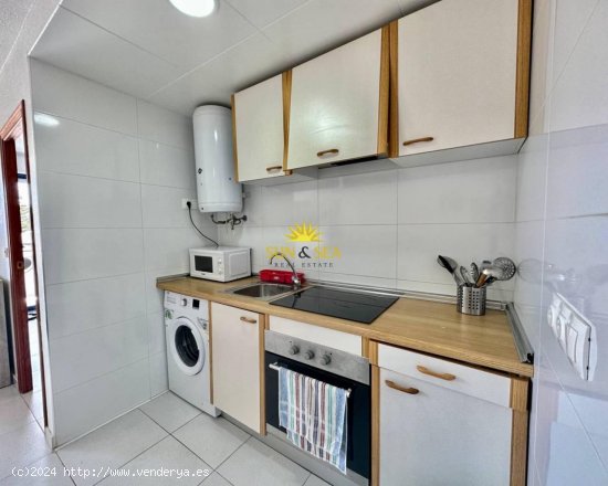 Apartamento en alquiler en Torrevieja (Alicante)