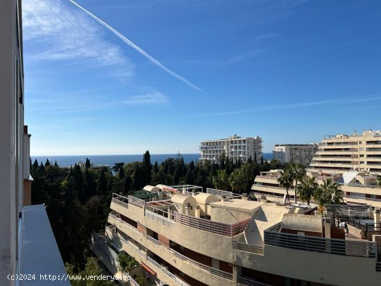 Apartamento en alquiler en Marbella (Málaga)