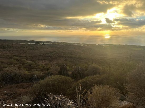 Solar en venta en Guía de Isora (Tenerife)