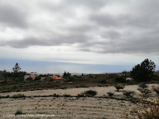 Solar en venta en Adeje (Tenerife)