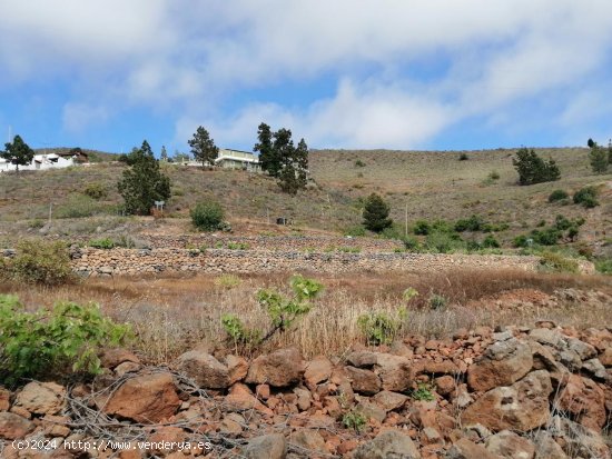 Solar en venta en Adeje (Tenerife)