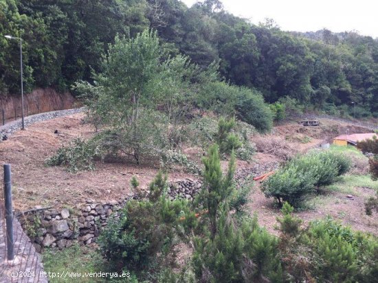 Finca en venta en Hermigua (Tenerife)