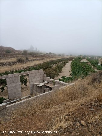  Solar en venta en Granadilla de Abona (Tenerife) 