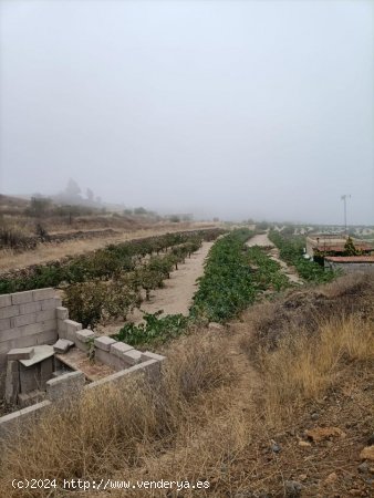 Solar en venta en Granadilla de Abona (Tenerife)