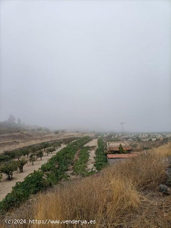 Solar en venta en Granadilla de Abona (Tenerife)