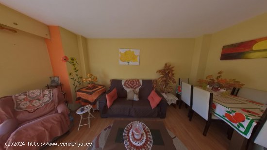 Apartamento en venta en Oliva (Valencia)