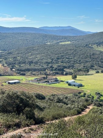 Finca en venta en Toledo (Toledo)