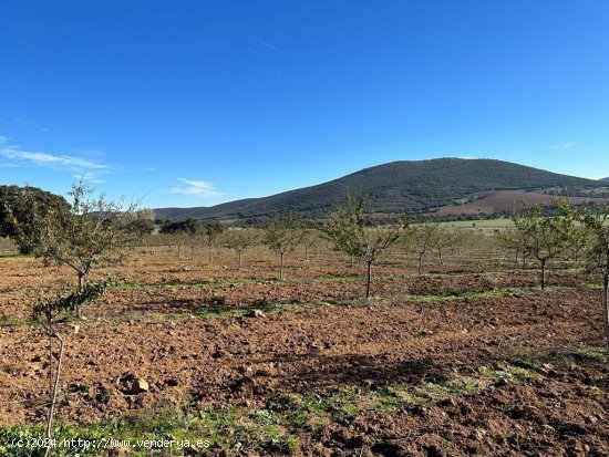 Finca en venta en Toledo (Toledo)