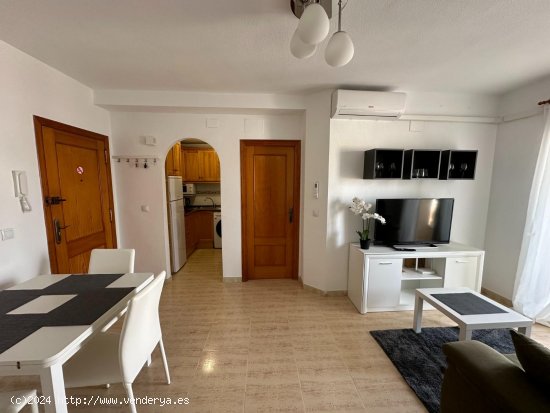 Apartamento en alquiler en Guardamar del Segura (Alicante)