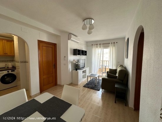 Apartamento en alquiler en Guardamar del Segura (Alicante)