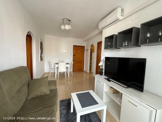 Apartamento en alquiler en Guardamar del Segura (Alicante)