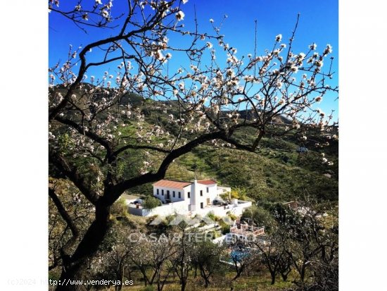  Villa en venta en Canillas de Aceituno (Málaga) 