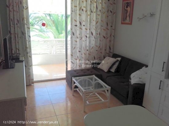 Estudio en venta en Arona (Tenerife)