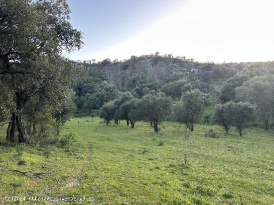  Finca en venta en Valencia de Alcántara (Cáceres) 