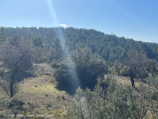 Finca en venta en Torre del Compte (Teruel)