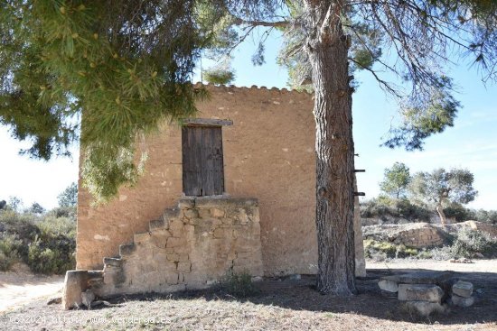 Finca en venta en Mazaleón (Teruel)