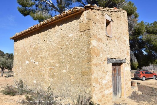 Finca en venta en Mazaleón (Teruel)