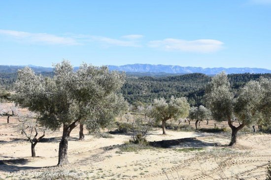 Finca en venta en Mazaleón (Teruel)