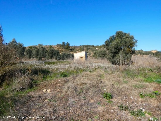 Finca en venta en Calaceite (Teruel)