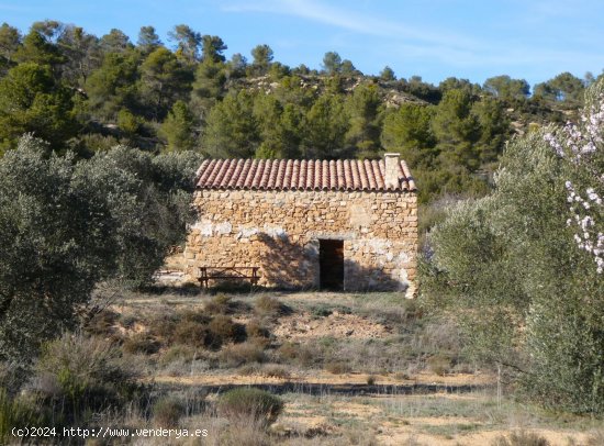 Finca en venta en Maella (Zaragoza)