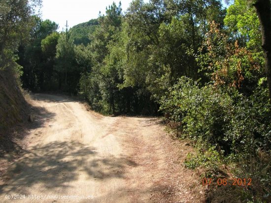 Casa en venta en Sant Iscle de Vallalta (Barcelona)