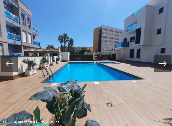 Apartamento en venta en Torrevieja (Alicante)