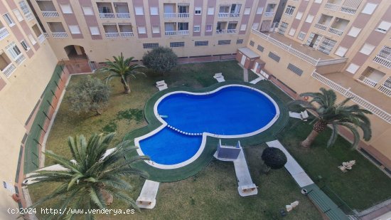 Piso en venta en Torrevieja (Alicante)