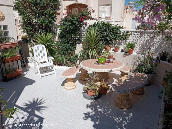 Casa en venta en Torrevieja (Alicante)