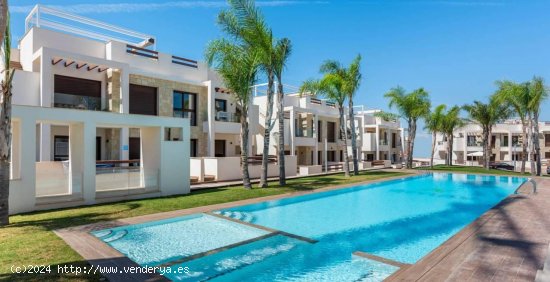 Apartamento en venta a estrenar en Torrevieja (Alicante)