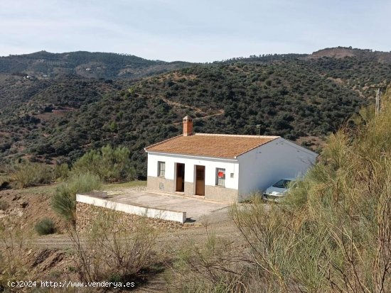 Finca en venta en Colmenar (Málaga)