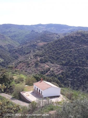 Finca en venta en Colmenar (Málaga)