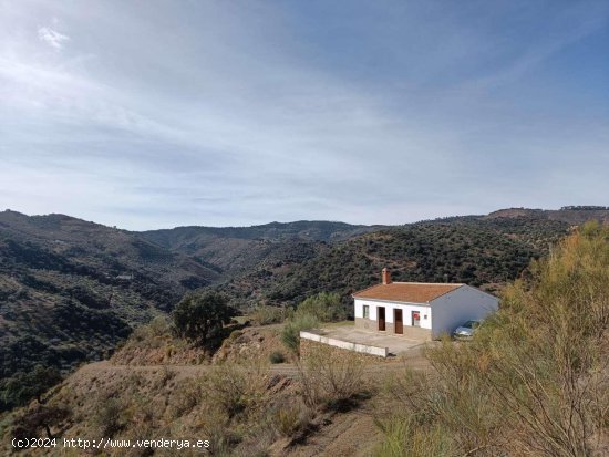 Finca en venta en Colmenar (Málaga)