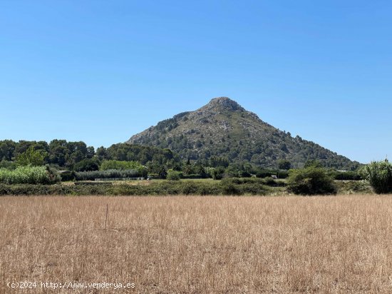  Solar en venta en Alcúdia (Baleares) 