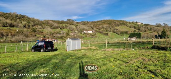 Finca en venta en Oviedo (Asturias)