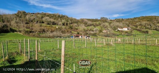 Finca en venta en Oviedo (Asturias)