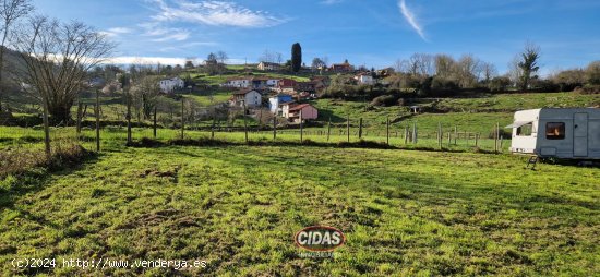 Finca en venta en Oviedo (Asturias)