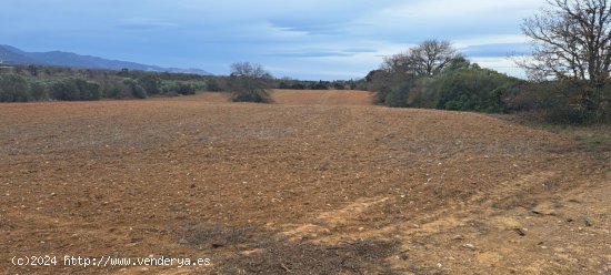  Finca en venta en Peralada (Girona) 