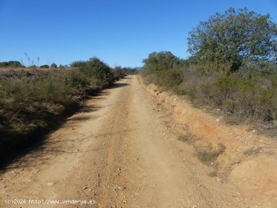 Finca en venta en Peralada (Girona)