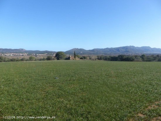 Finca en venta en Peralada (Girona)