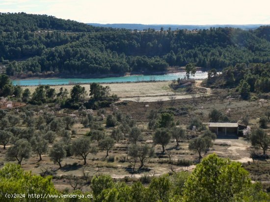  Finca en venta en Maella (Zaragoza) 