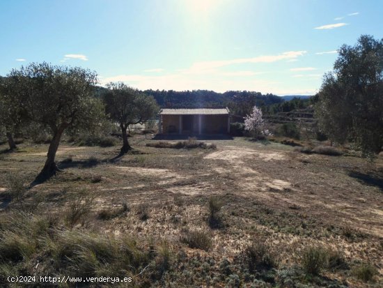 Finca en venta en Maella (Zaragoza)