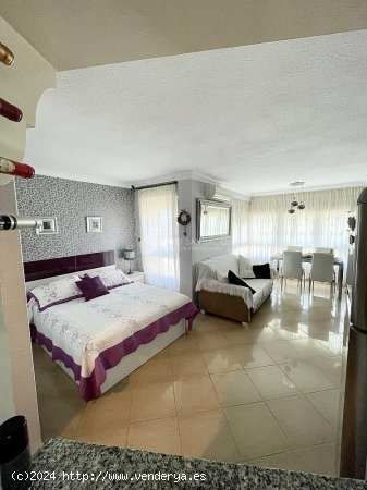 Estudio en alquiler en Algarrobo (Málaga)