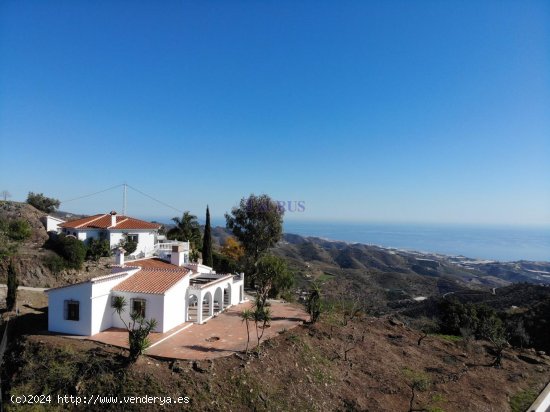 Finca en venta en Sayalonga (Málaga)