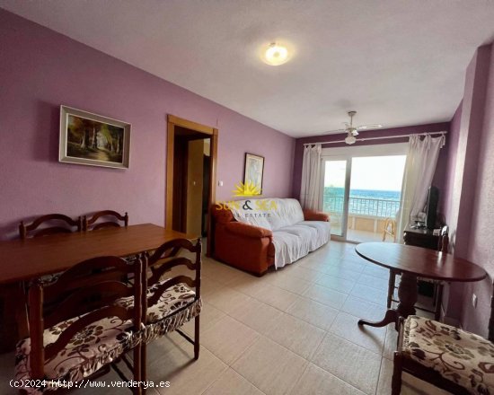 Apartamento en alquiler en Torrevieja (Alicante)